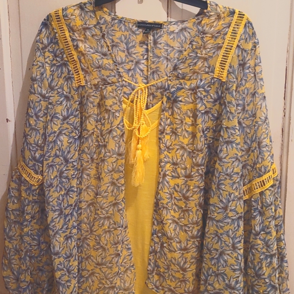 Ladies sheer top  XL